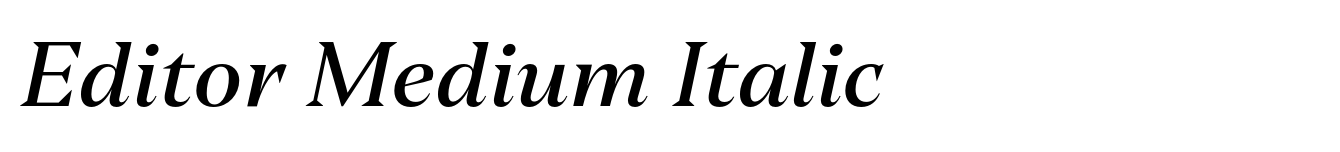 Editor Medium Italic image